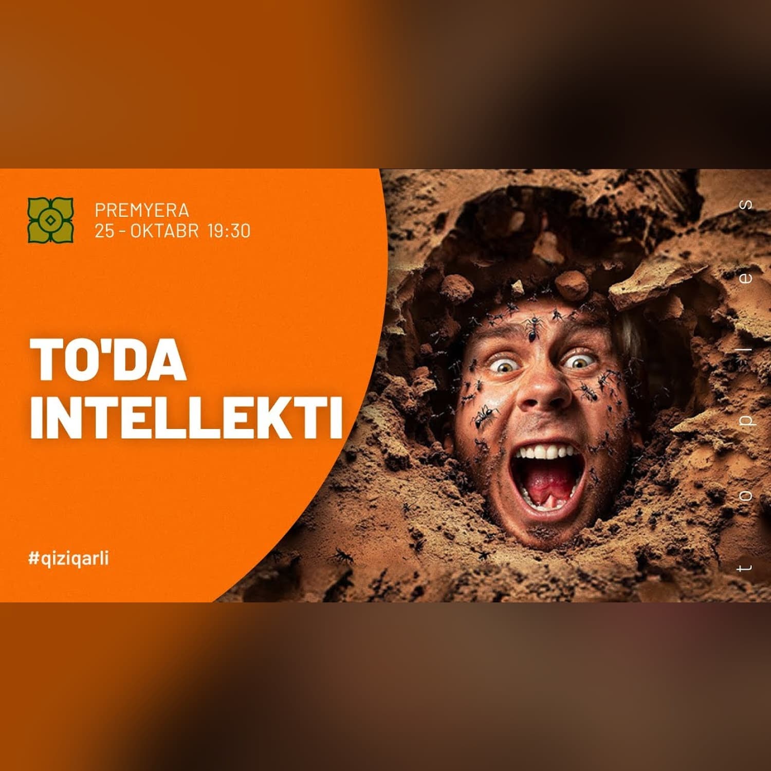 Hech Narsadan Ong. TO'DA INTELLEKTI! - @Xurmomedia   x @toplesofficial