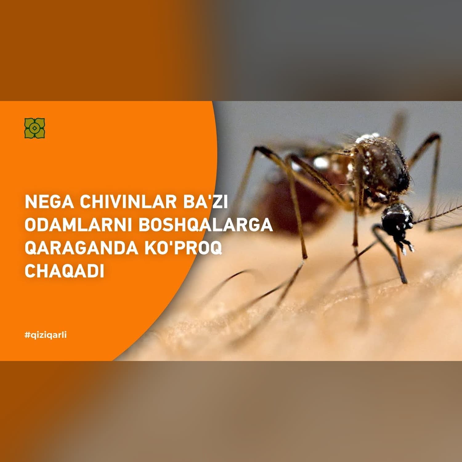 Nega CHIVINLAR ba'zi odamlarni boshqalarga qaraganda ko'proq CHAQADI | @veritasium x @Xurmomedia
