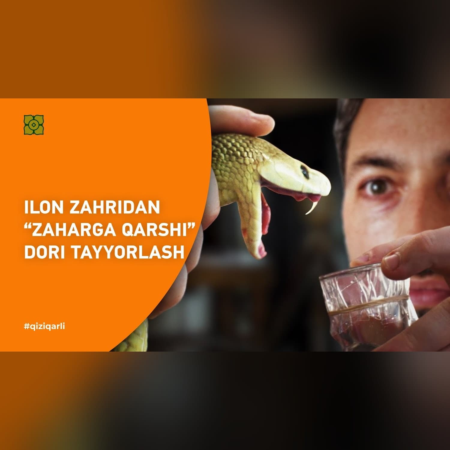 Ilon zahridan “ZAHARGA QARSHI” dori tayyorlash | @veritasium x @Xurmomedia