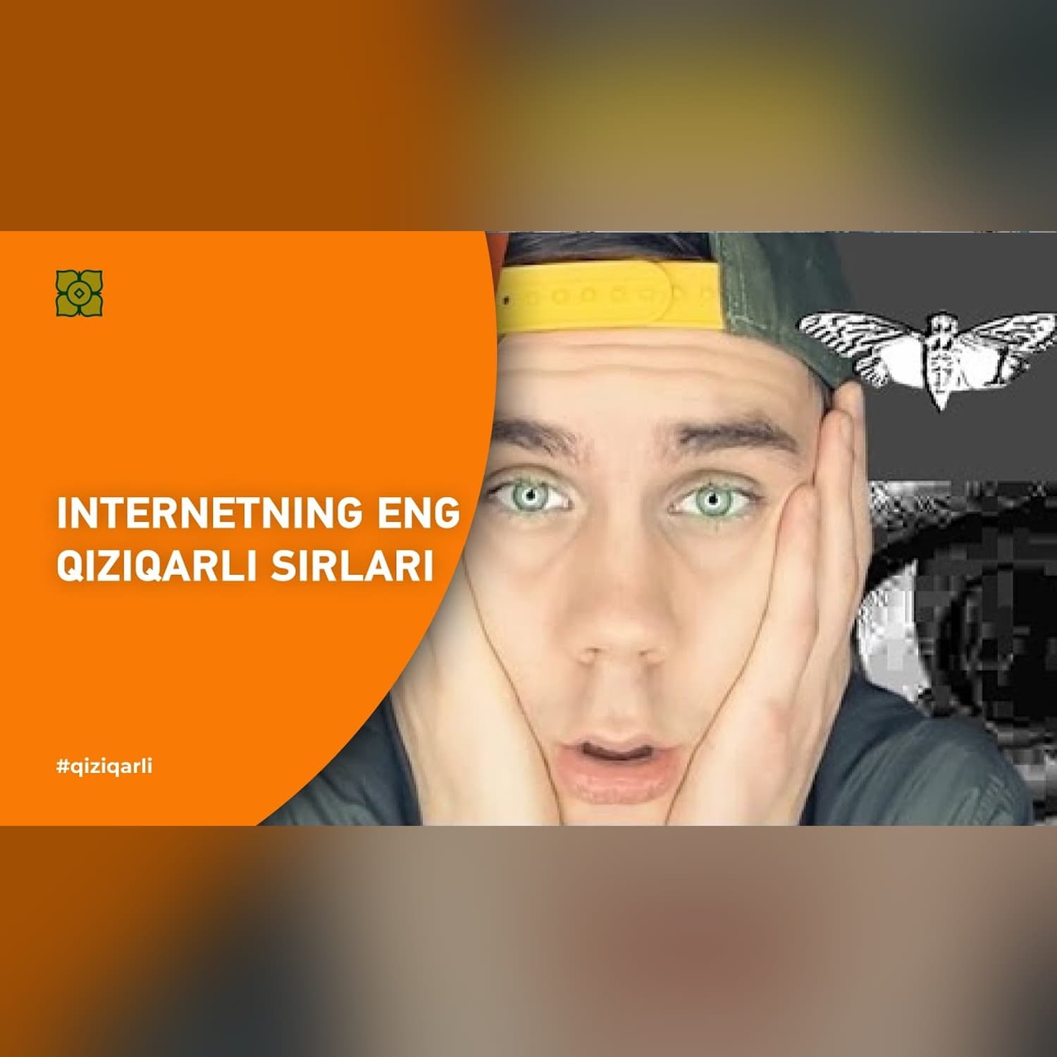 INTERNETNING ENG QIZIQARLI SIRLARI | @toplesofficial х @Xurmomedia