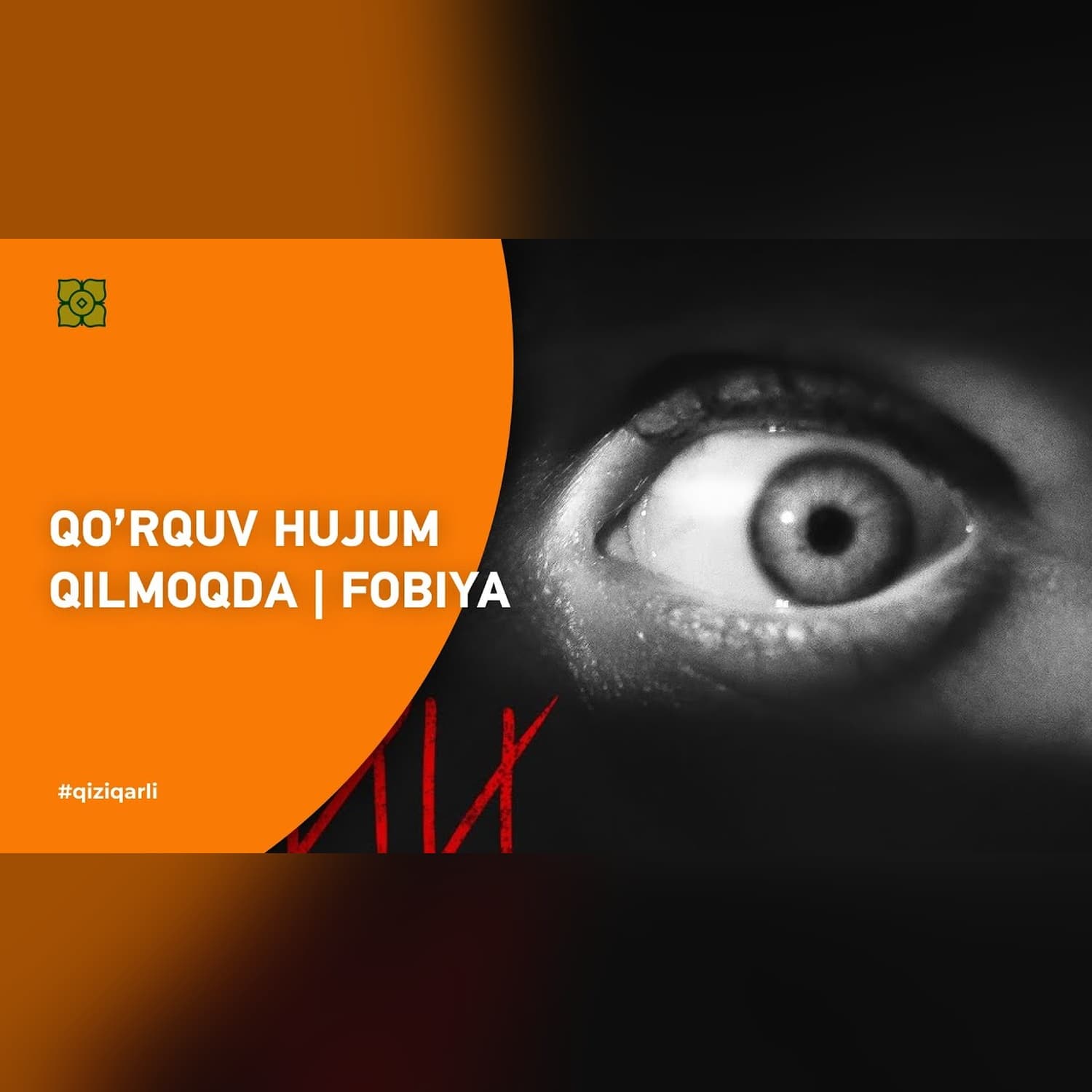Qo’rquv hujum qilmoqda | Fobiya | @toplesofficial х @Xurmomedia