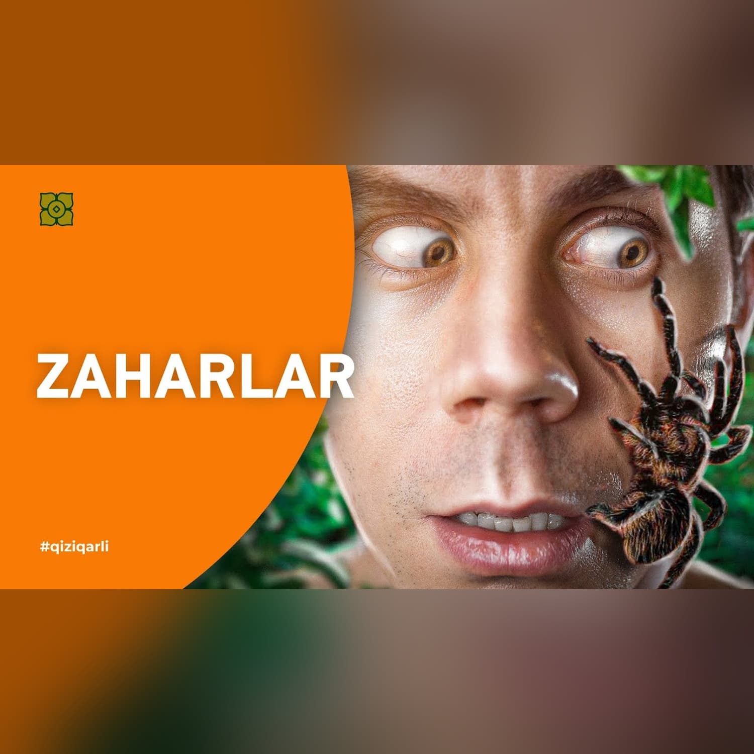 Zaharlar. Omon qolish uchun nima bilan zaharlanish kerak? @Xurmomedia x @toplesofficial