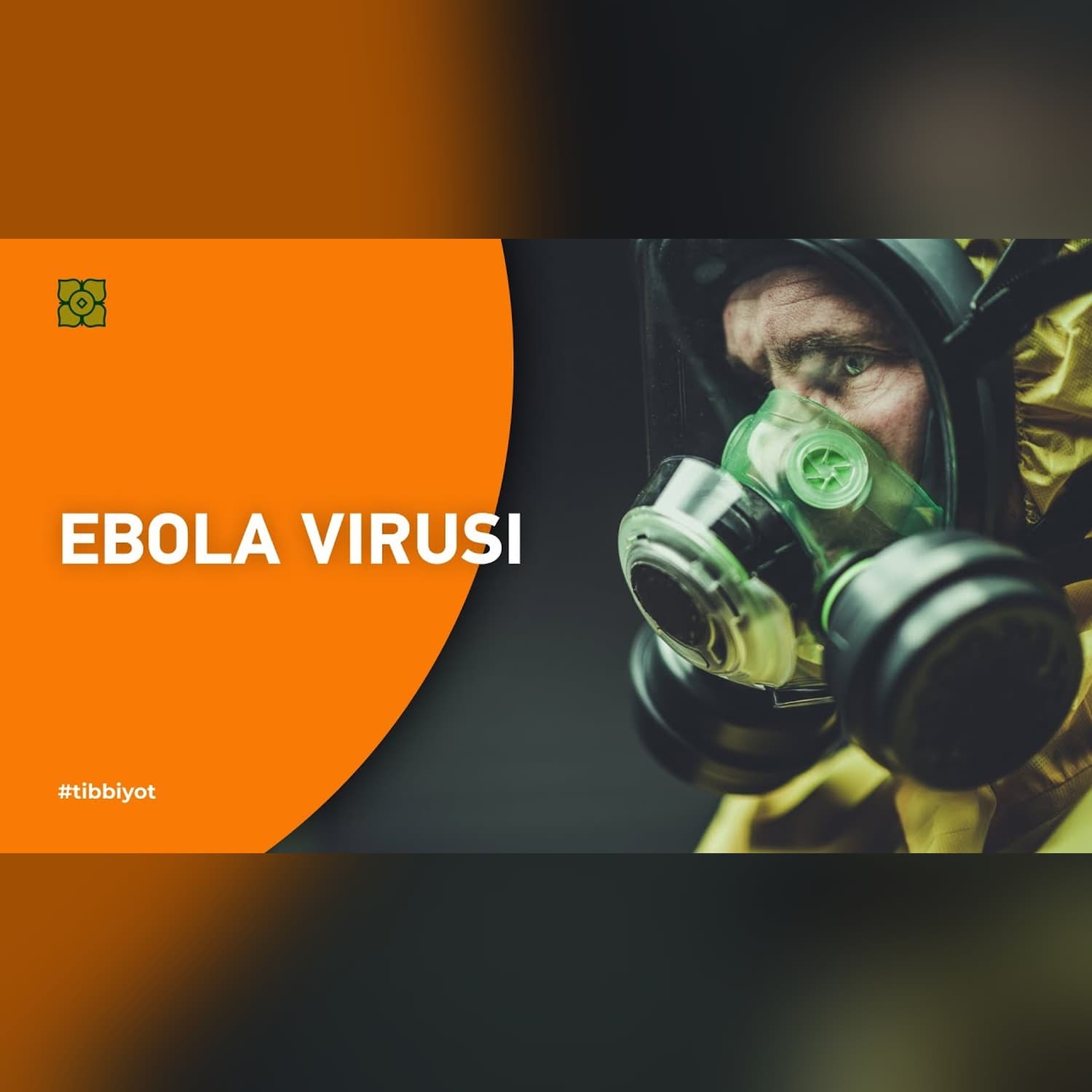 Ebola virusi. Kelib chiqish tarixi va virus simptomatikasi. | XURMO [Loony]