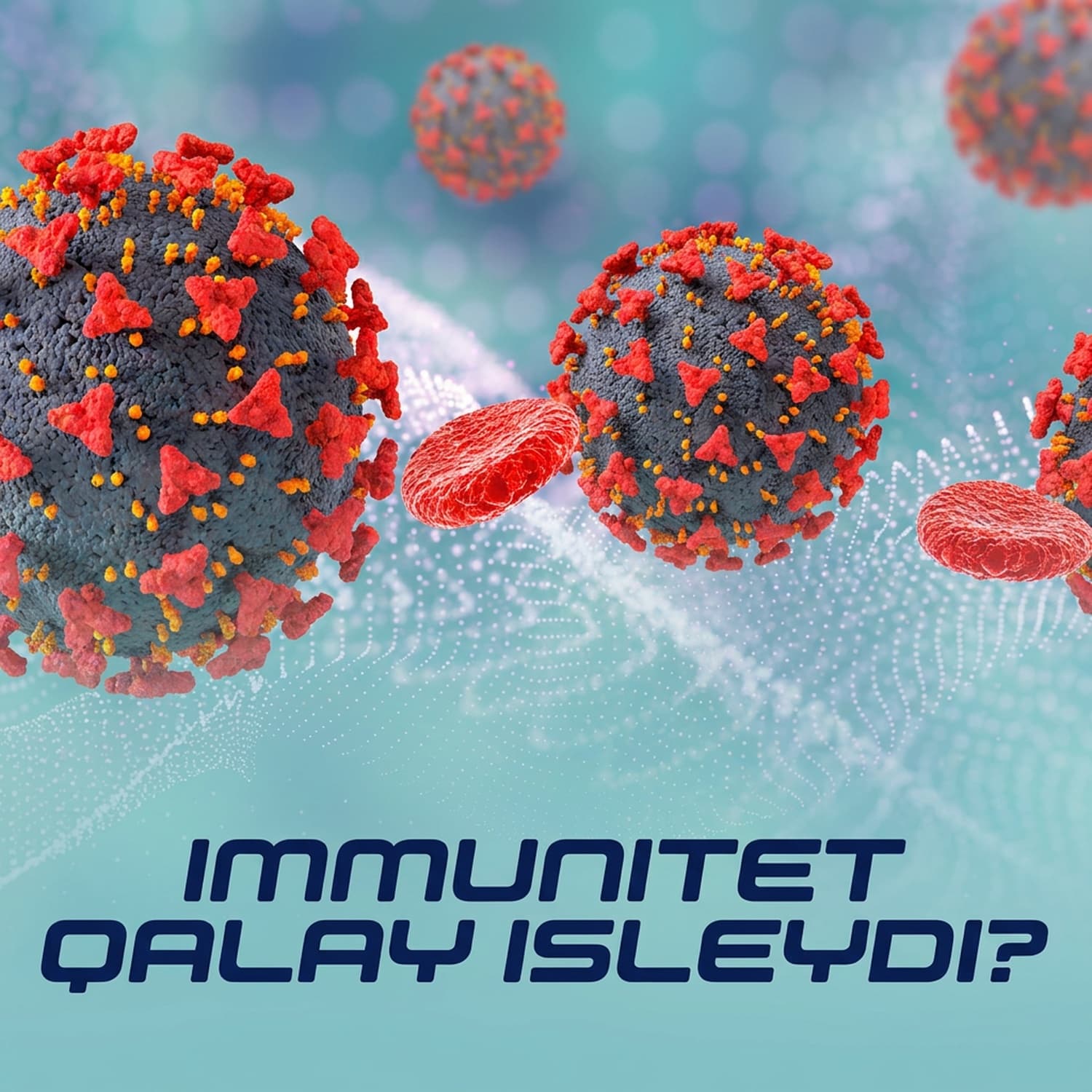 Denemiz ózin qalay qorǵaydı? | Immunitet | Aydın