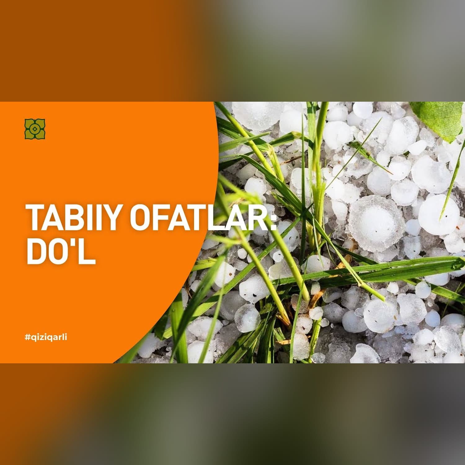 Tabiiy ofatlar. Do'l qanday paydo bo'ladi? XURMO | [ С Миру По Факту]