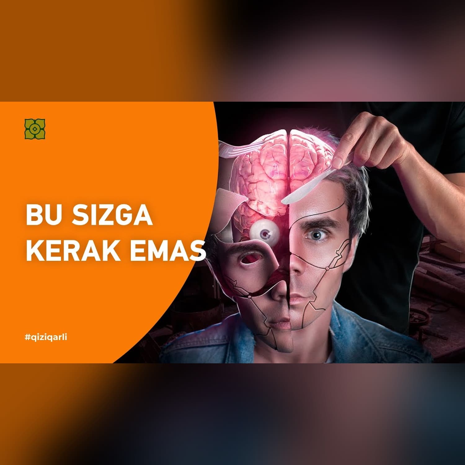 Miya qanday ishlaydi? Uning tuzilishi va faoliyati haqida. @Xurmomedia x @toplesofficial