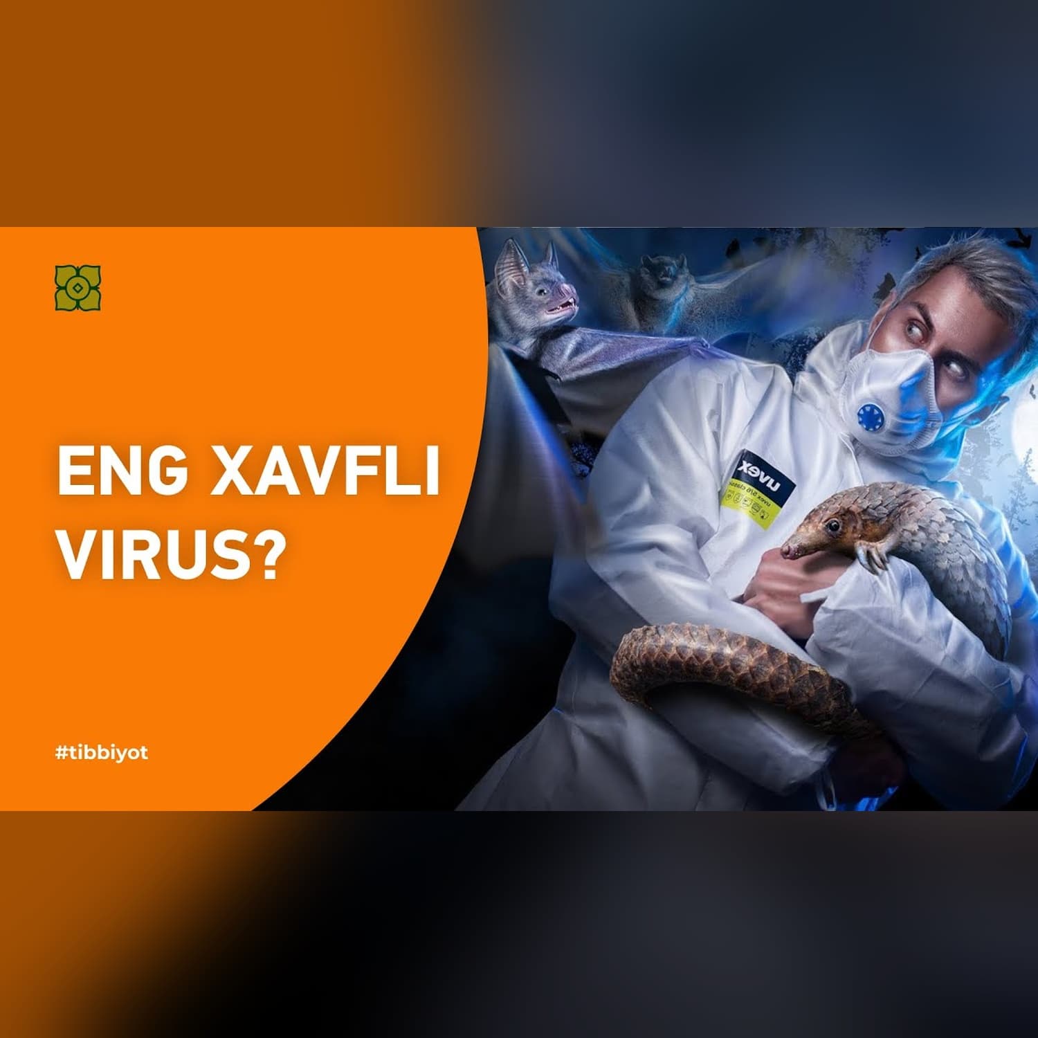 Nega Xitoyda yangidan yangi viruslar paydo bo’lyapti?  Koronavirus | @Xurmomedia x @toplesofficial