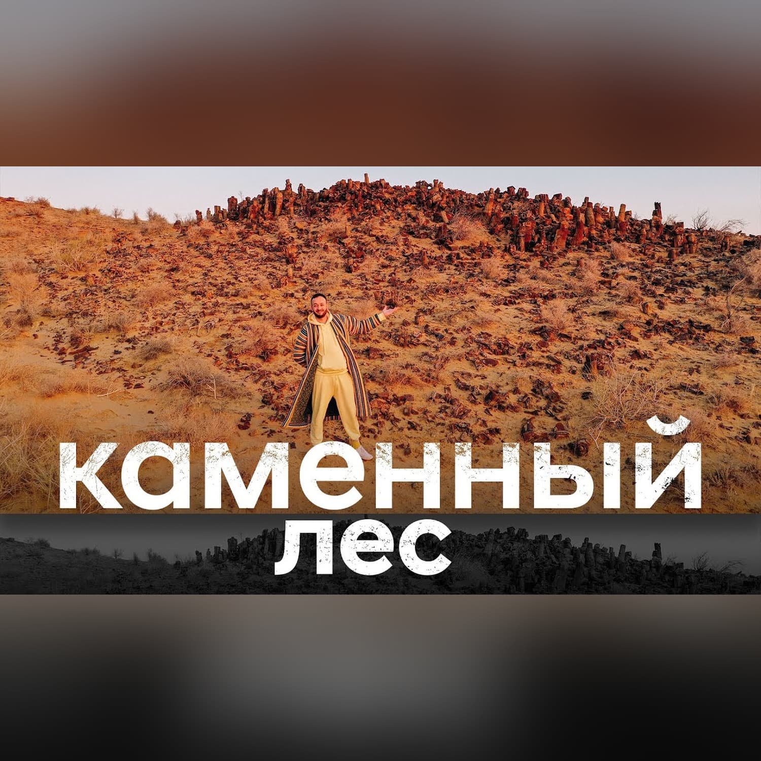 "Каменный лес" древний памятник природы в 1000 км от Ташкента