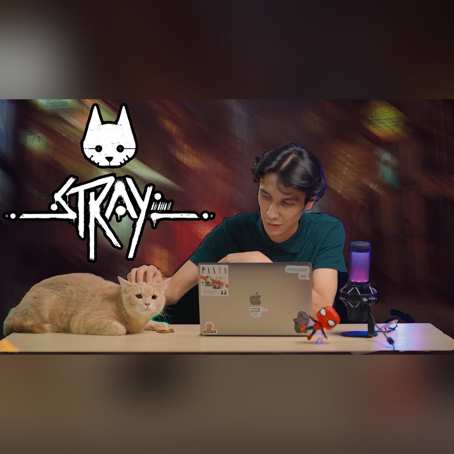 STRAY - Afsonaga aylangan mushuk | @KUNDUZIY x @KIBERUZ